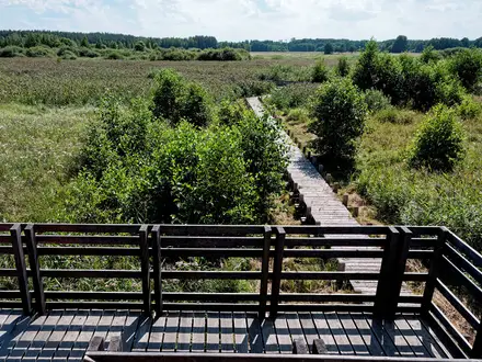 Kampinos National Park Trail