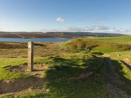 Llyn Brenig Circular Walk