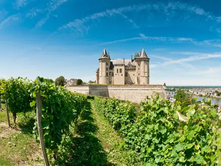 Loire Valley Vineyard Trail