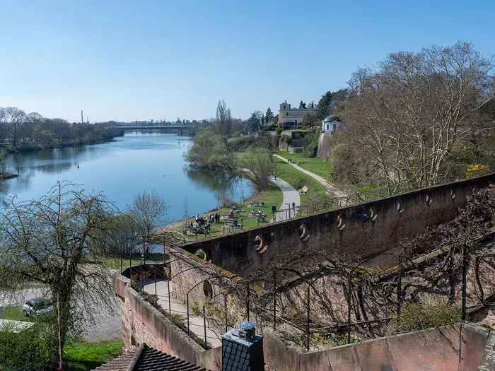 Mainwanderweg (Main River Trail)