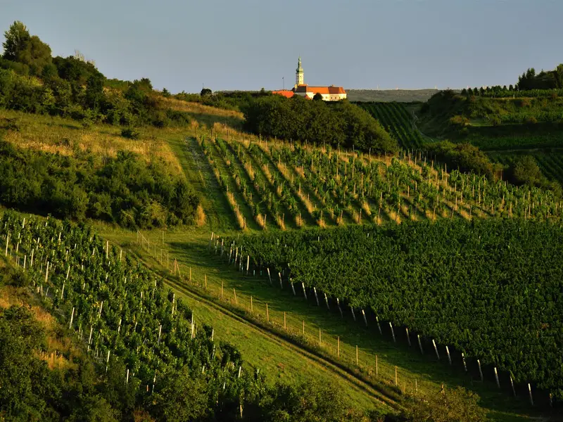 Mikulov Wine Trail