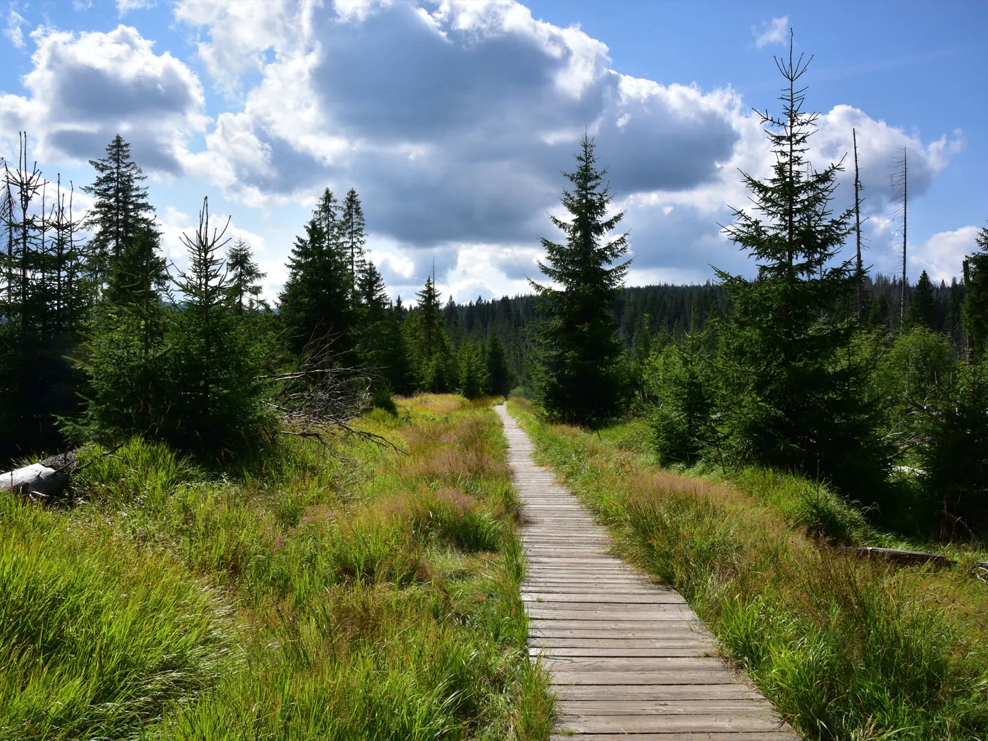 Modrava to Březník Trail
