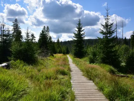 Modrava to Březník Trail