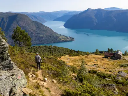 Molden Summit Trail