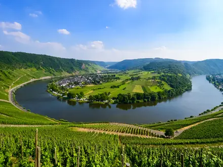 Moselsteig