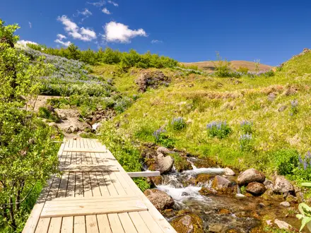 Mount Esja Trail