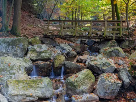 Ninglinspo Trail