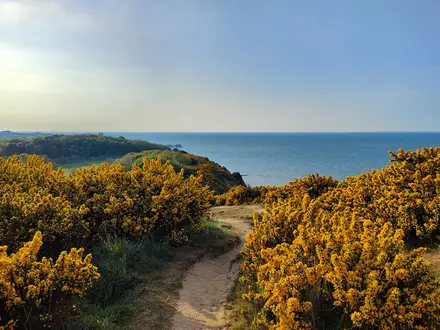 Norfolk Coast Path