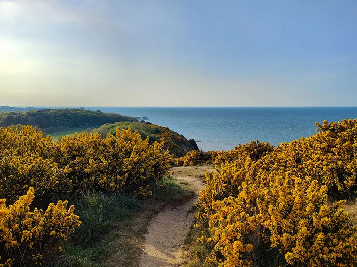 Norfolk Coast Path