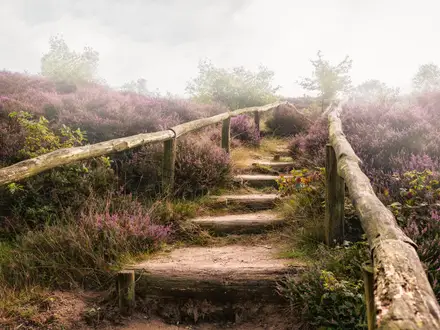 NS Veluwe Walking Trails