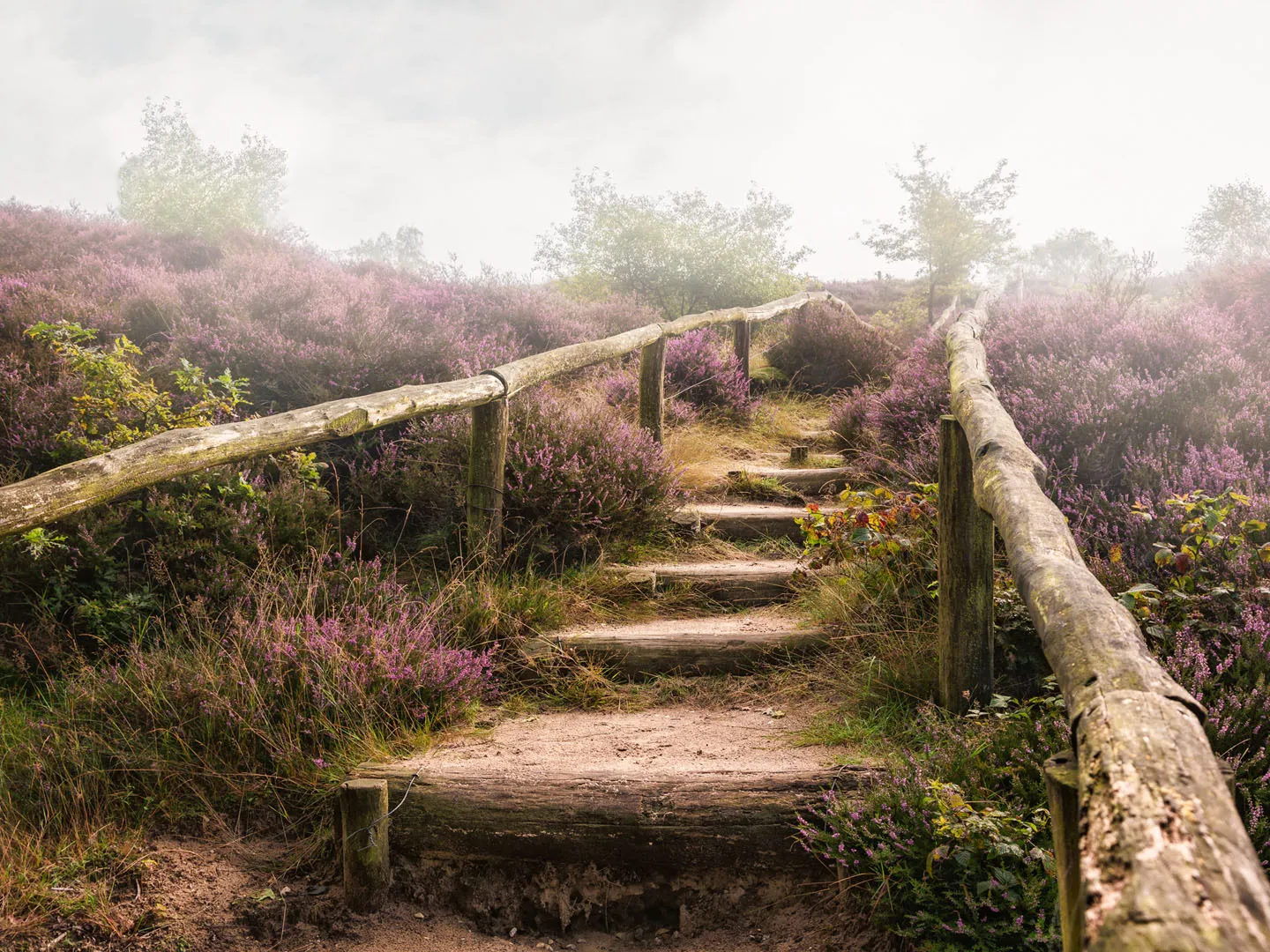 NS Veluwe Walking Trails