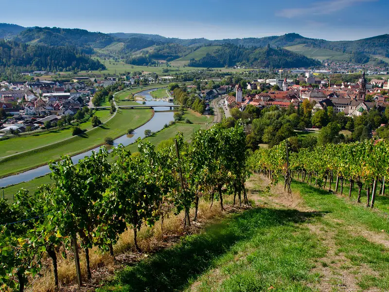 Ortenauer Weinpfad (Ortenau Wine Trail)