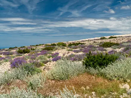 Pag Island Moon Trail