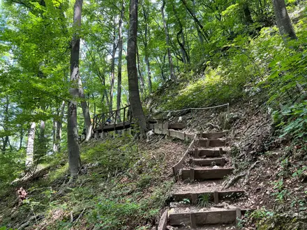 Papuk Nature Park Loop