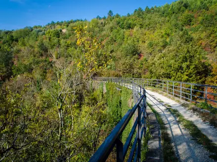 Parenzana Trail