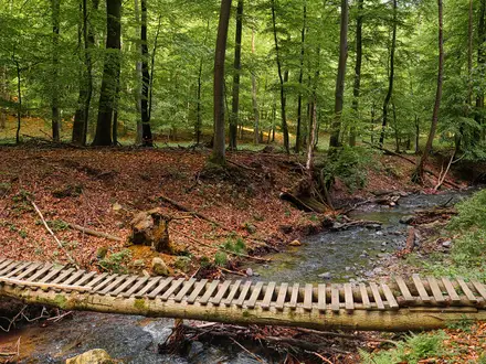 Pezinská Baba Ridge Trail