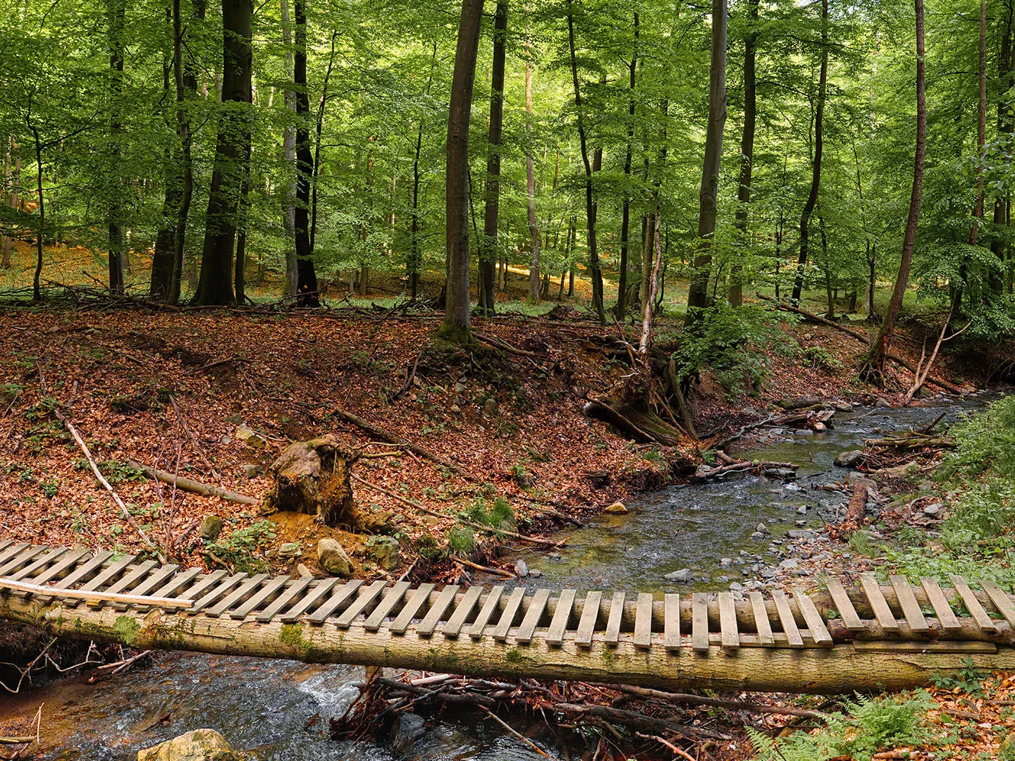 Pezinská Baba Ridge Trail