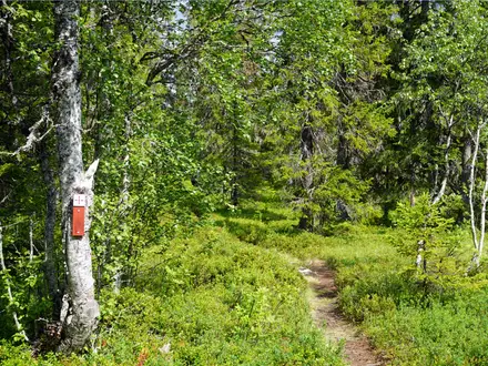 Pilgrimsleden (St. Olav’s Way)