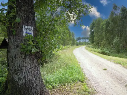 Piska Forest Loop