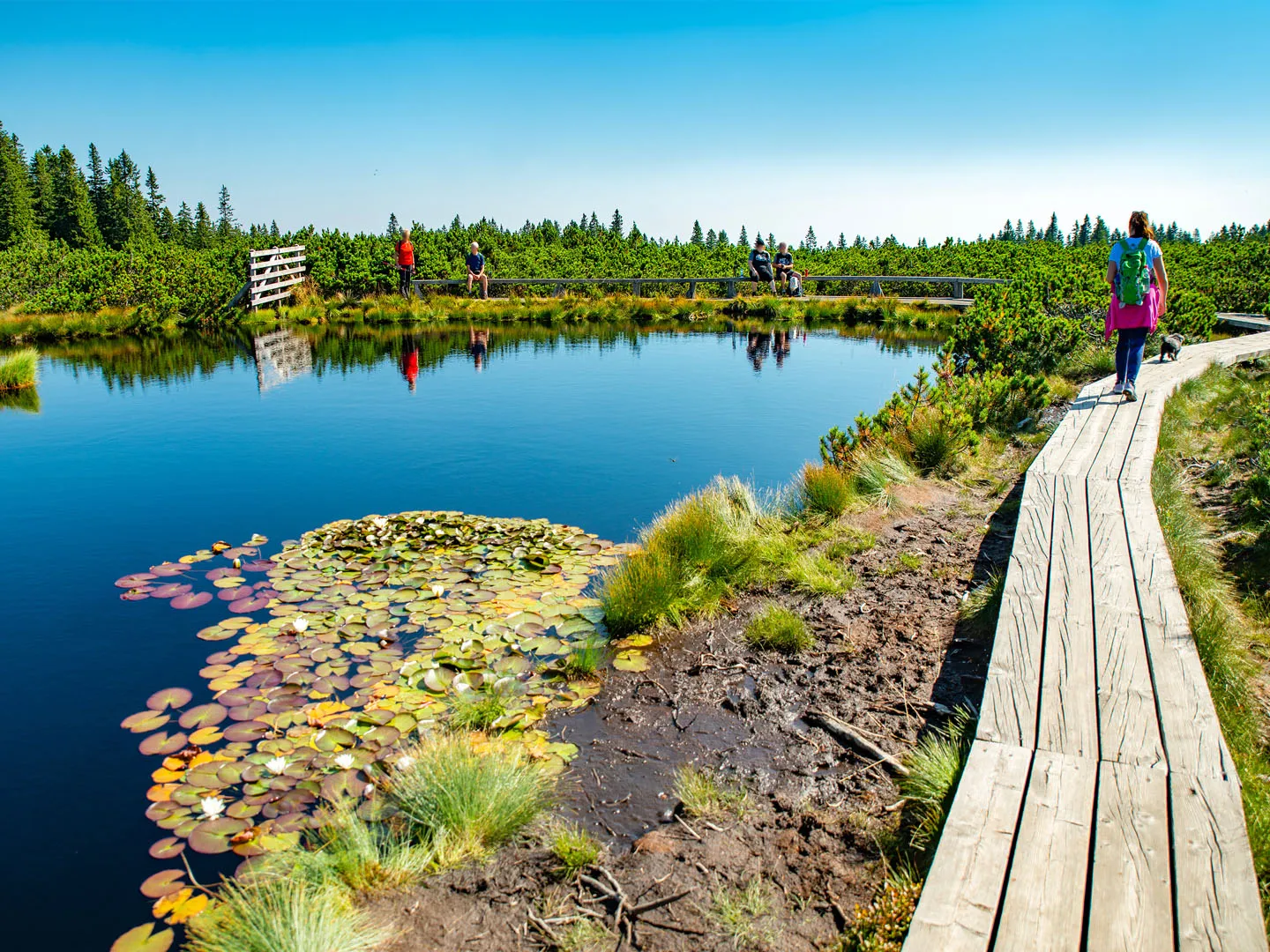 Pohorje Transversal Trail