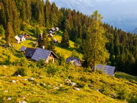 Pokljuka Plateau Trails