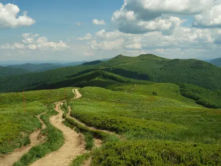 Połonina Wetlińska Trail