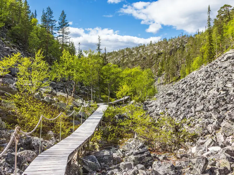 Pyhä-Luosto National Park Trail
