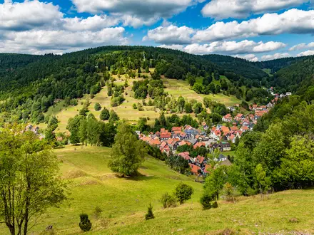 Rennsteig Trail
