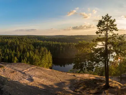 Repovesi National Park Trail