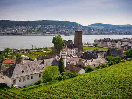 Rheingau Riesling Path