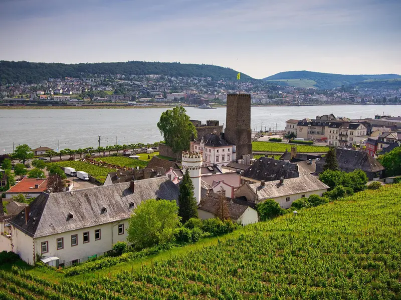 Rheingau Riesling Path