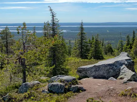 Riisitunturi National Park Trail