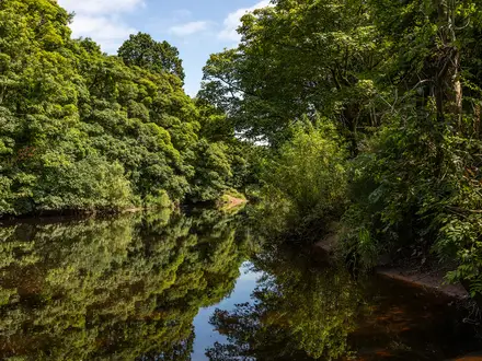 River Ayr Way