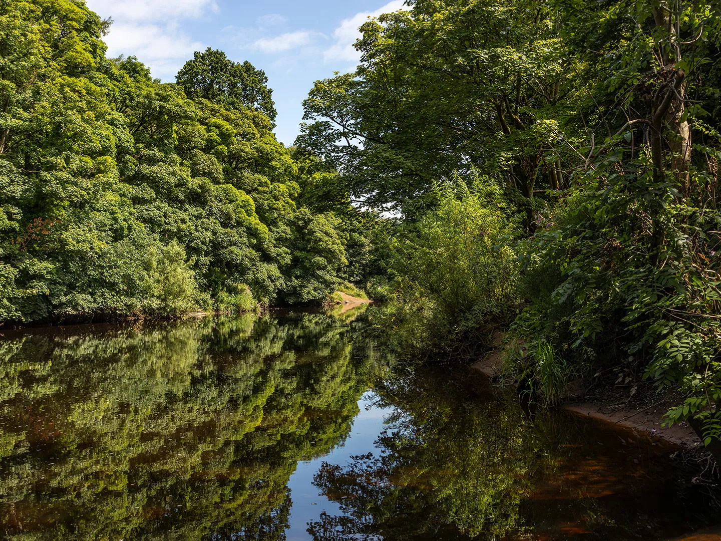River Ayr Way