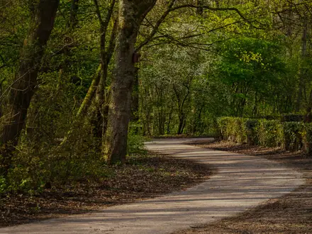 Rotterdam Green Belt