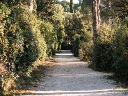 Rovinj Coastal Path