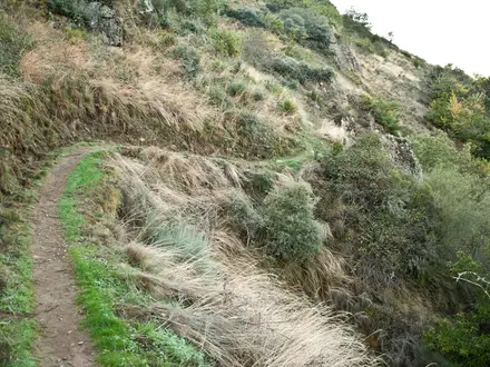 Ruta de las Fuentes