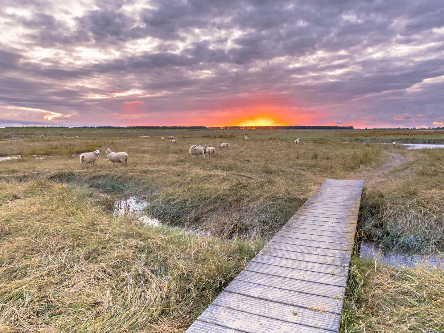 Scheldt Delta Trail
