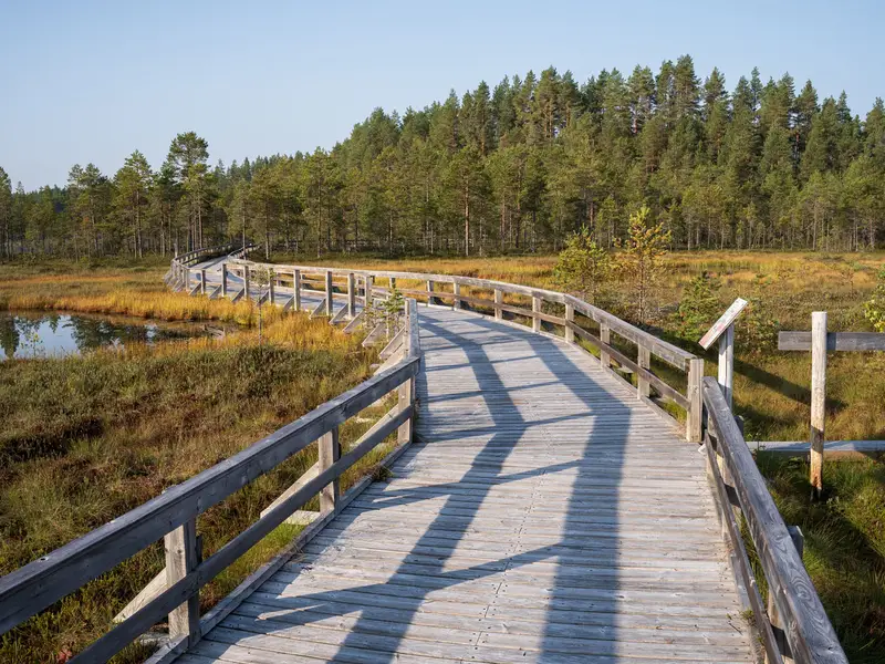 Seitseminen National Park Trail