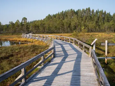 Seitseminen National Park Trail