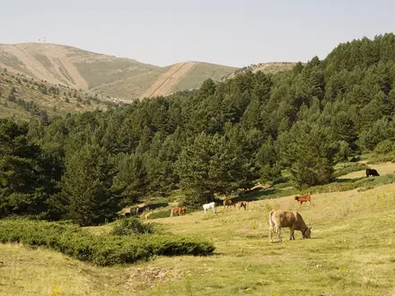 Sierra de Guadarrama Trails