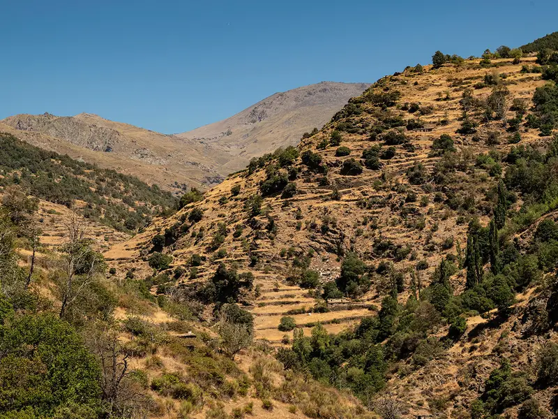 Sierra Nevada High Route