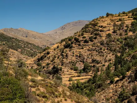 Sierra Nevada High Route