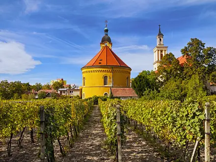 Small Carpathian Wine Trail