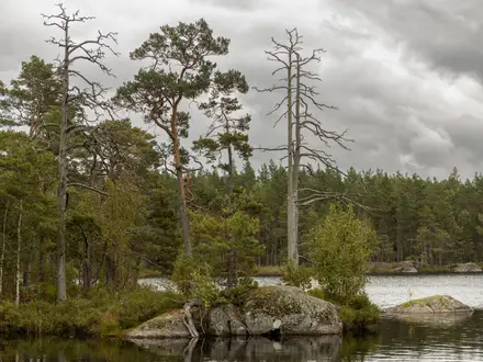 Sörmlandsleden
