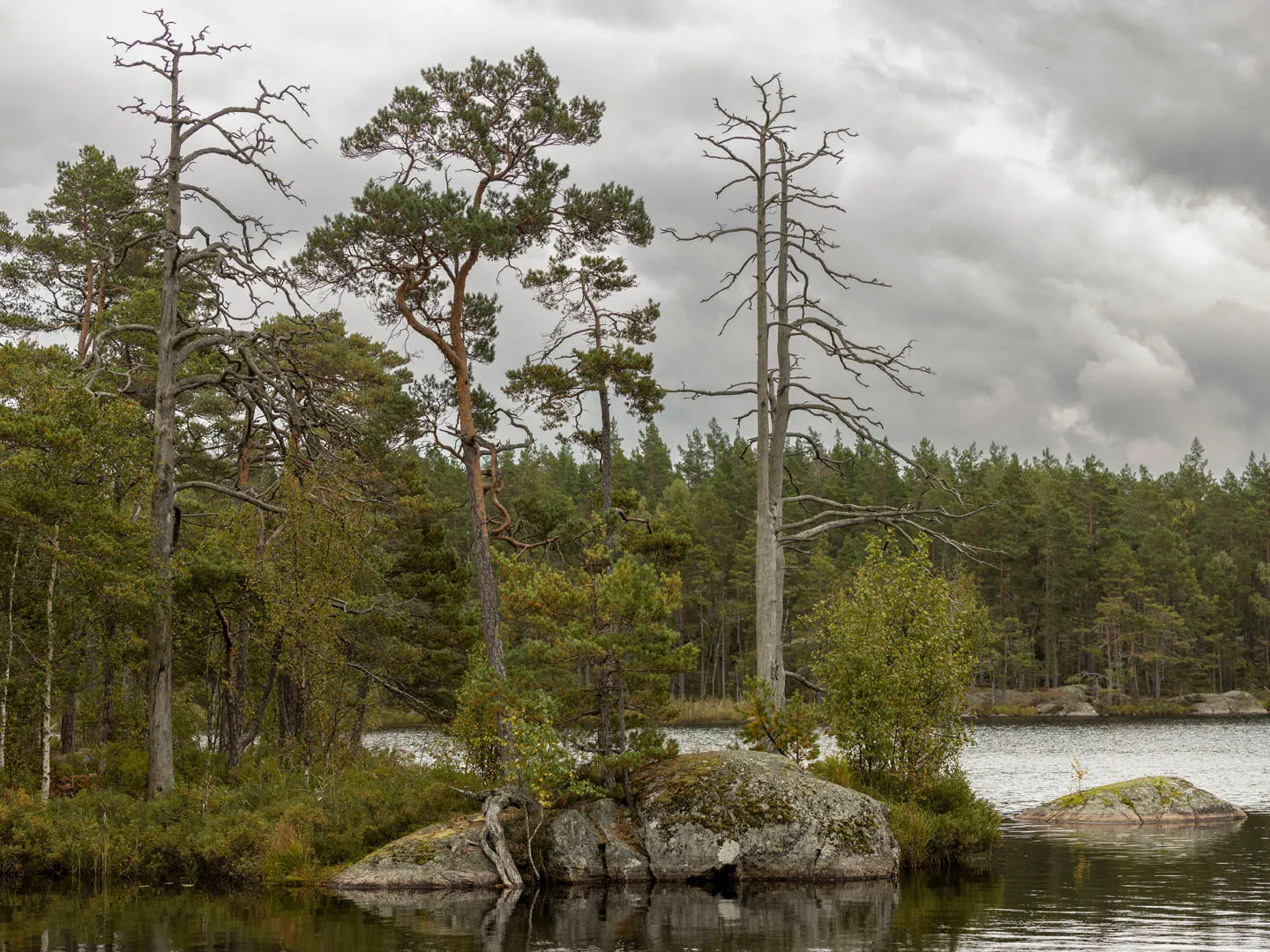 Sörmlandsleden