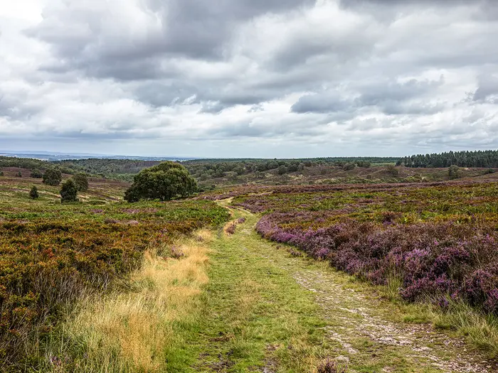Staffordshire Way