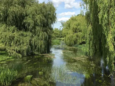 Stour Valley Path