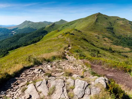 Tarnica Summit Trail
