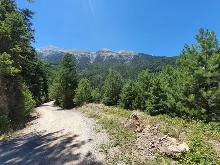 Taygetus Mountain Circuit
